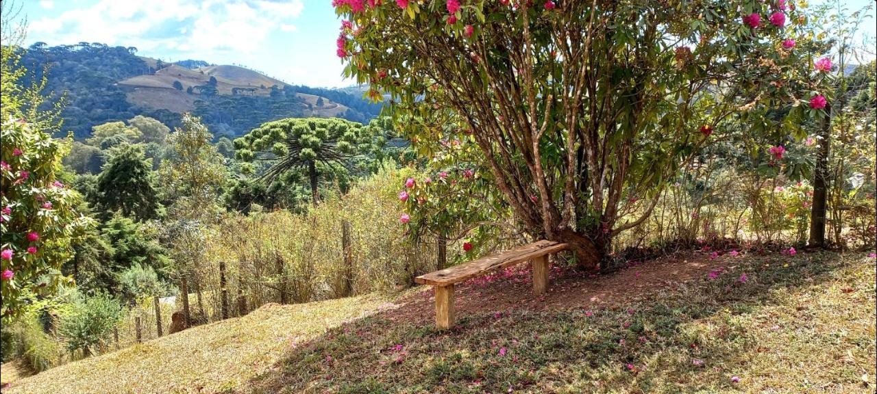 Casa Trilha Villa กังโปสดูจอร์เดา ภายนอก รูปภาพ